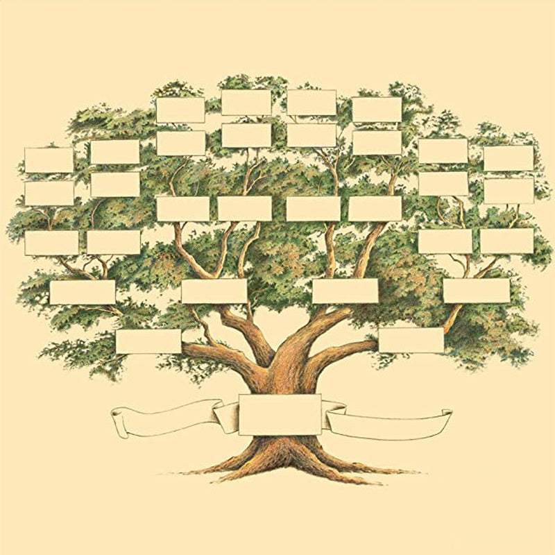 Tree of Life - Multi-Generation Heritage Display
