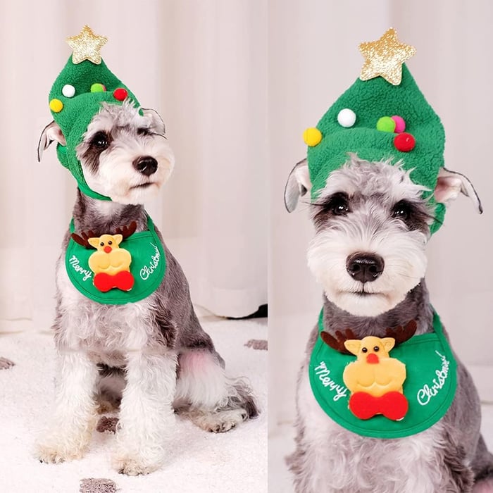 HollyTopper – Cozy Holiday Tree Hat
