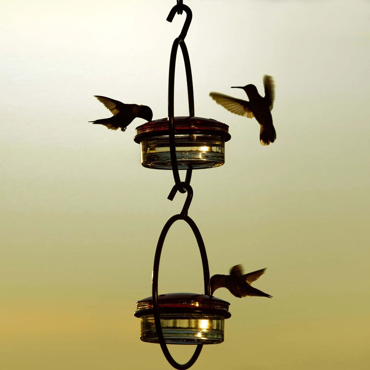 NectarFlow - Slim Hummingbird Feeder