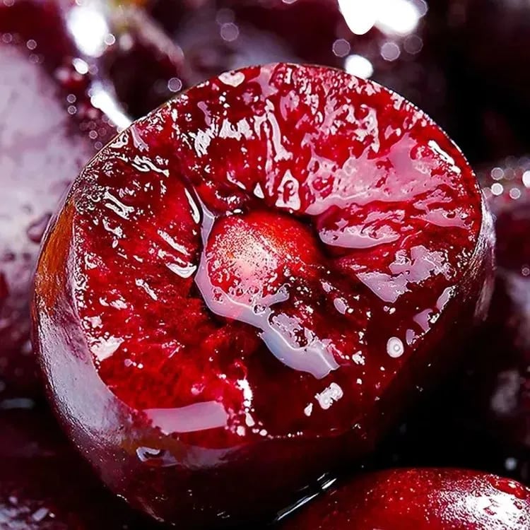 RubyHarvest – Rainier Cherry Fruit Seeds