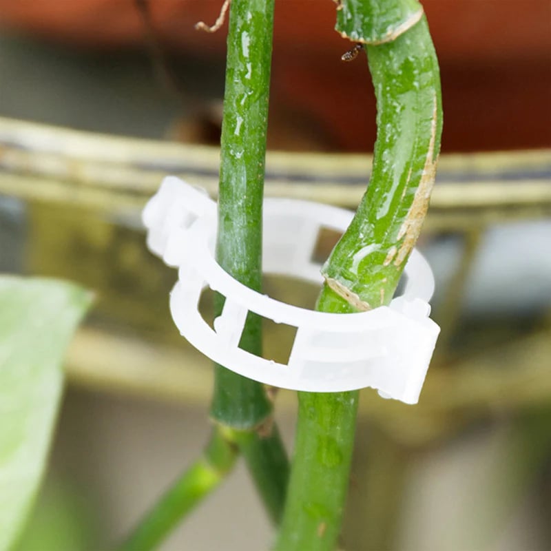 StemHold – Reusable Clips for Upright Plants