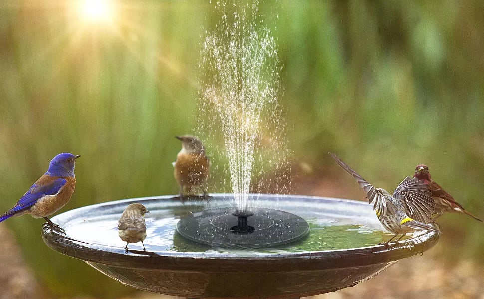 EcoRipple - Solar Garden Fountain