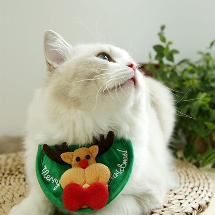 HollyTopper – Cozy Holiday Tree Hat