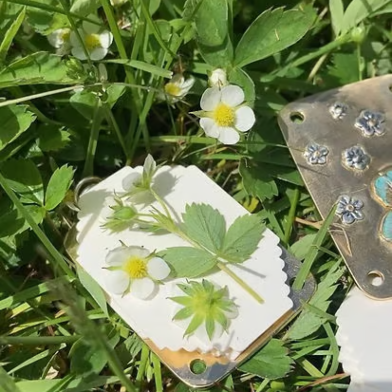 BloomLock - Handmade Portable Flower Press