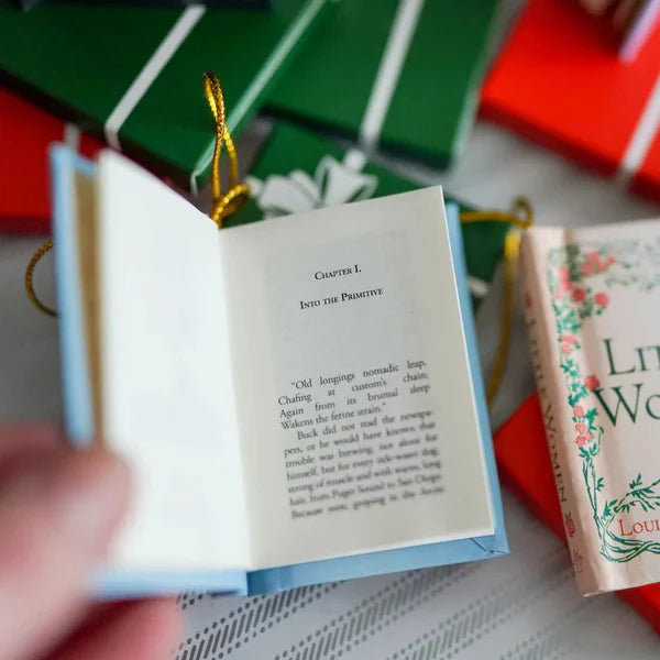 StoryJoy – Mini Book Advent Collection