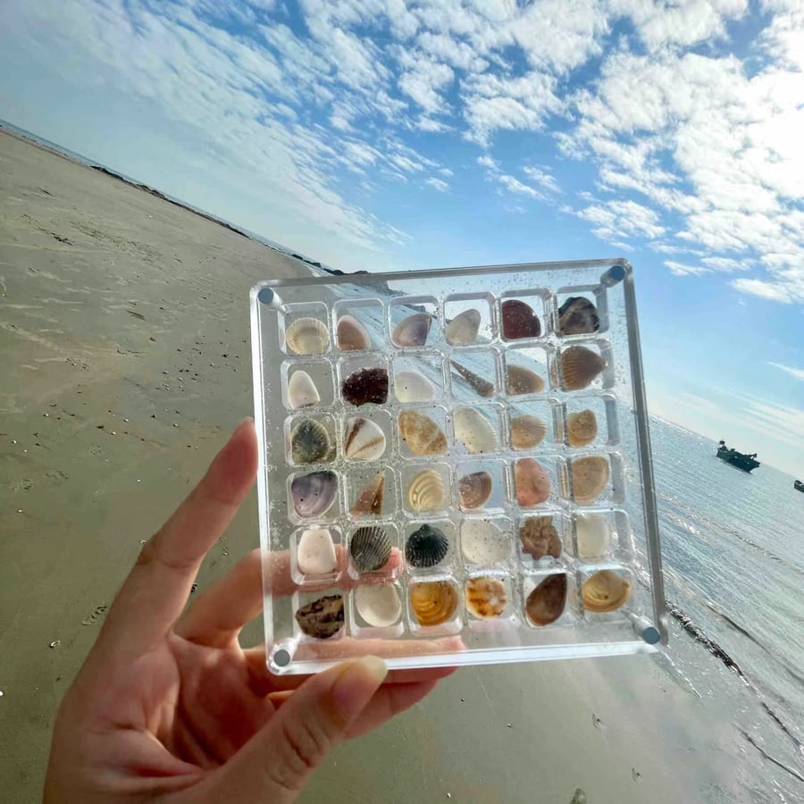 AquaFrame – Acrylic Display Case for Seashell Treasures