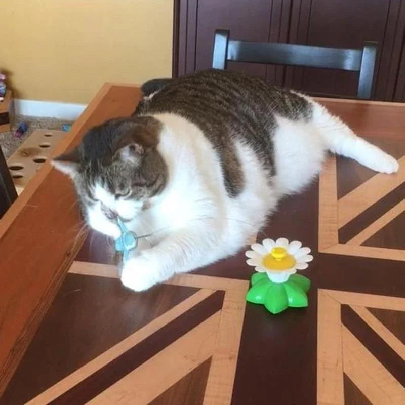 FeatherChase – Interactive Bird Cat Toy