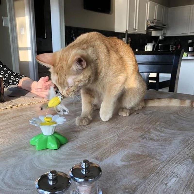 FeatherChase – Interactive Bird Cat Toy