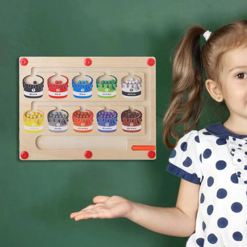 BrainTrail – Creative Magnetic Learning Maze