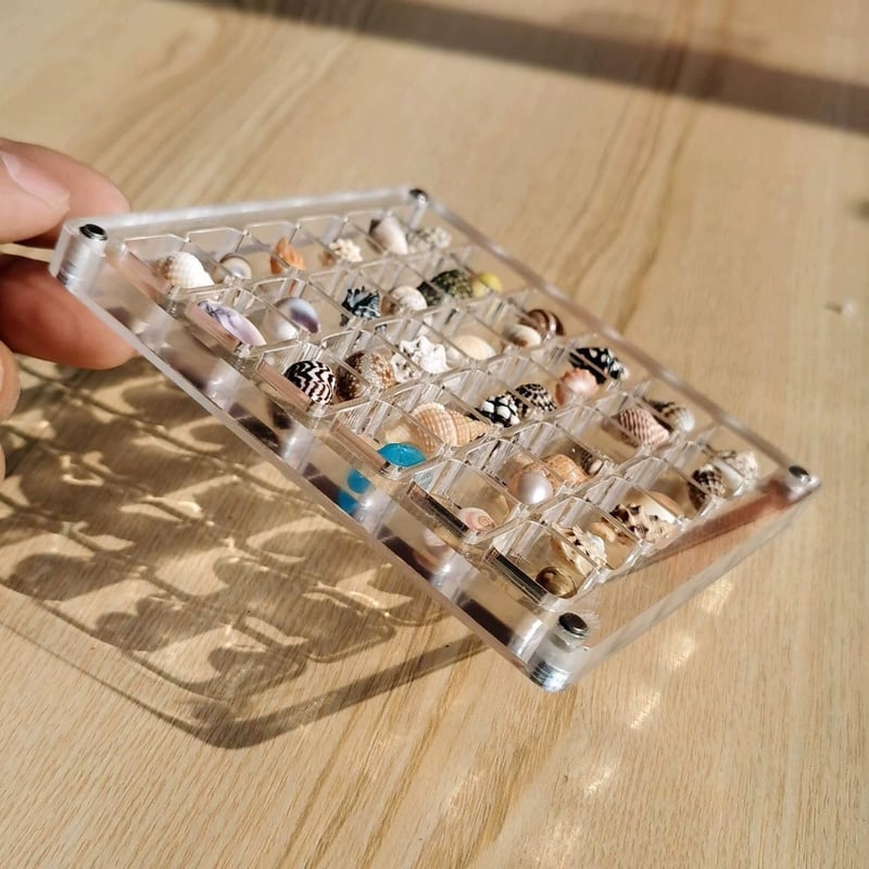 AquaFrame – Acrylic Display Case for Seashell Treasures