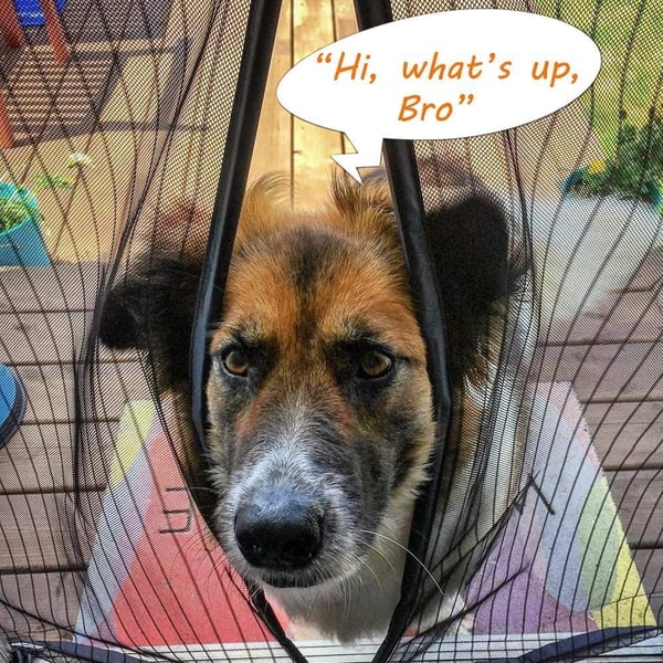 MagnaBreeze – Hands-Free Magnetic Screen Door