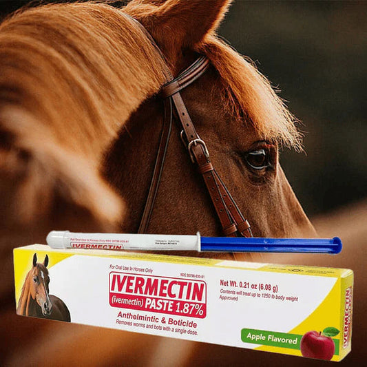 GuardianMectin - Anti-Parasite Horse Paste
