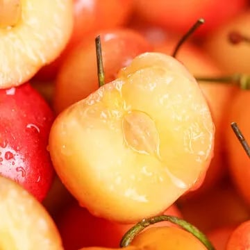 RubyHarvest – Rainier Cherry Fruit Seeds