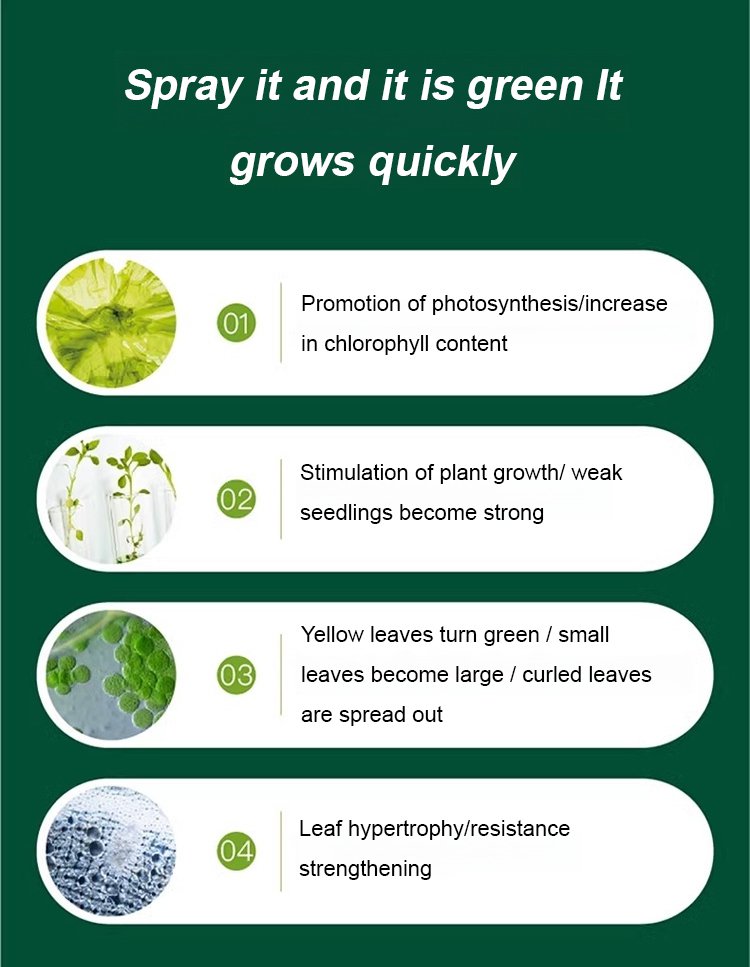 BloomBurst - Rapid Plant & Flower Activator