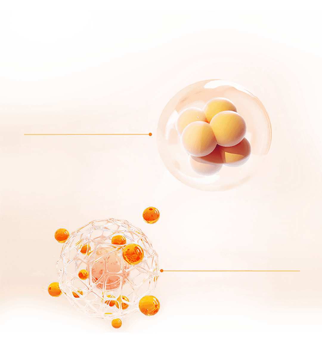 RadianceBoost – Vitamin C Makeup Base