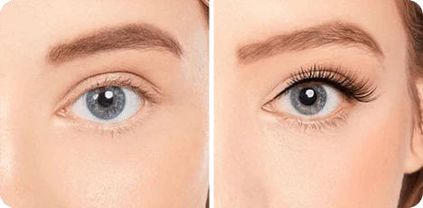 LashBloom – Natural DIY Cluster Lashes