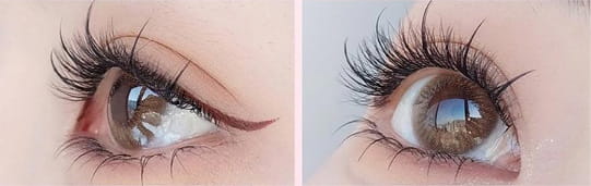 LashBloom – Natural DIY Cluster Lashes