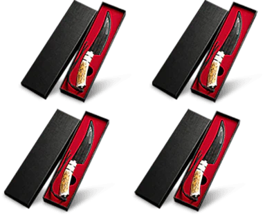 ProSlice – Curved Boning Knife Set