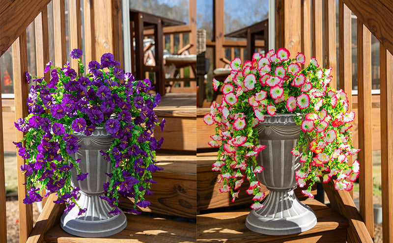 FleurVibe - Year-Round Vibrant Morning Glory Display