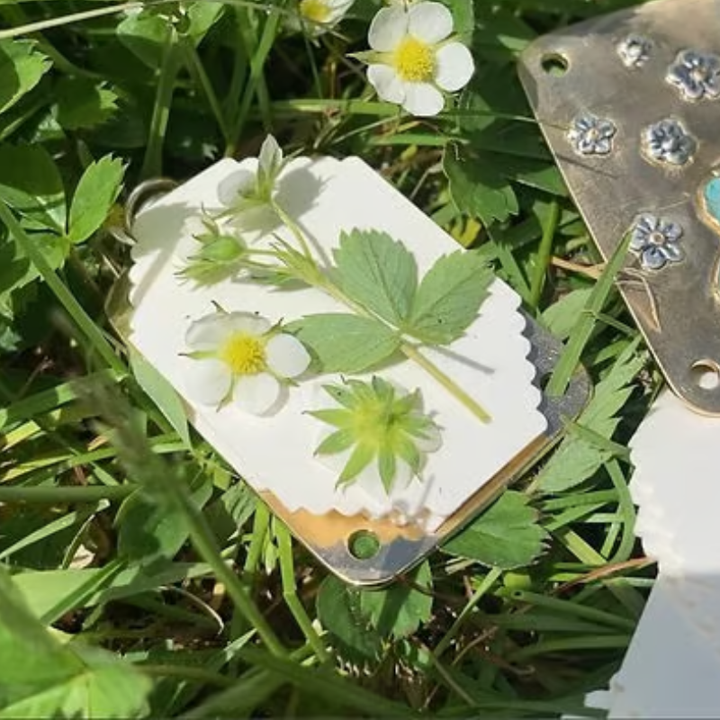 BloomLock - Handmade Portable Flower Press