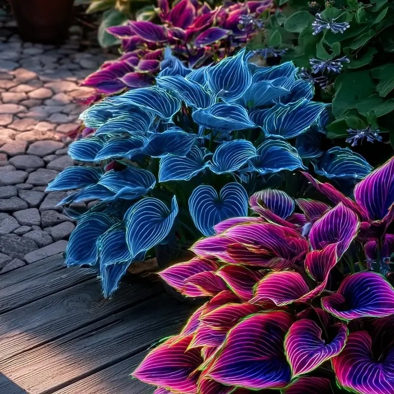 ChicFoliage - Colorful Coleus Seeds for Garden Highlights