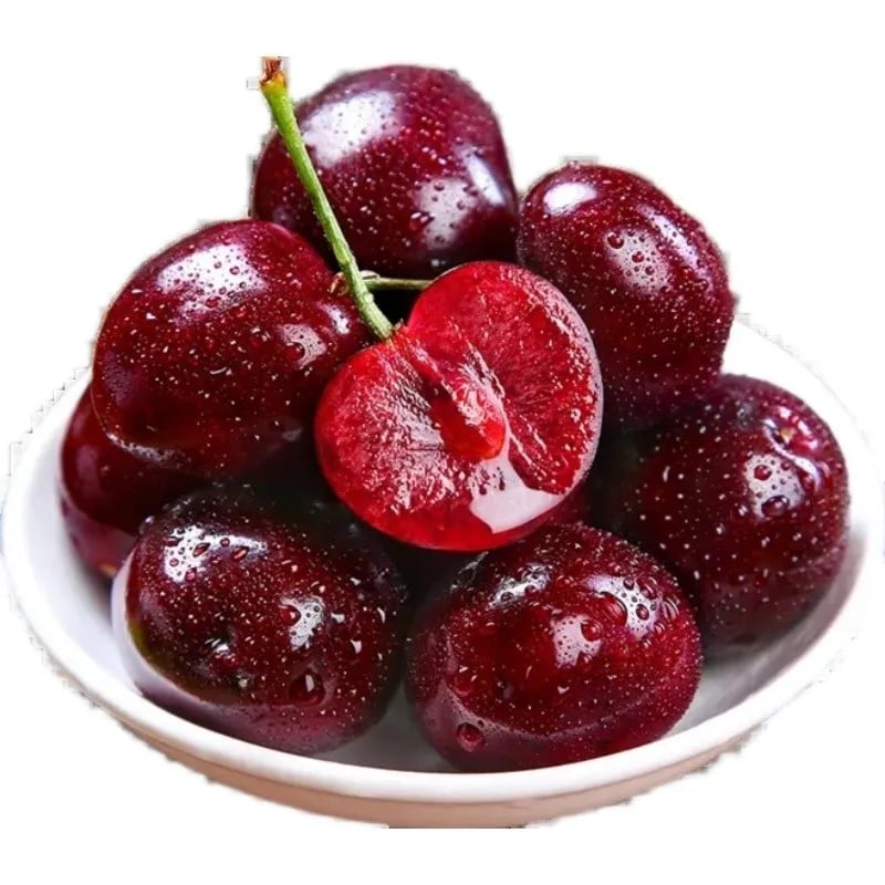 RubyHarvest – Rainier Cherry Fruit Seeds