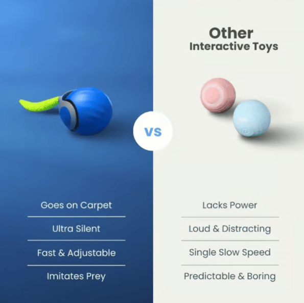 ChaseWhirl – Interactive Pet Ball Toy