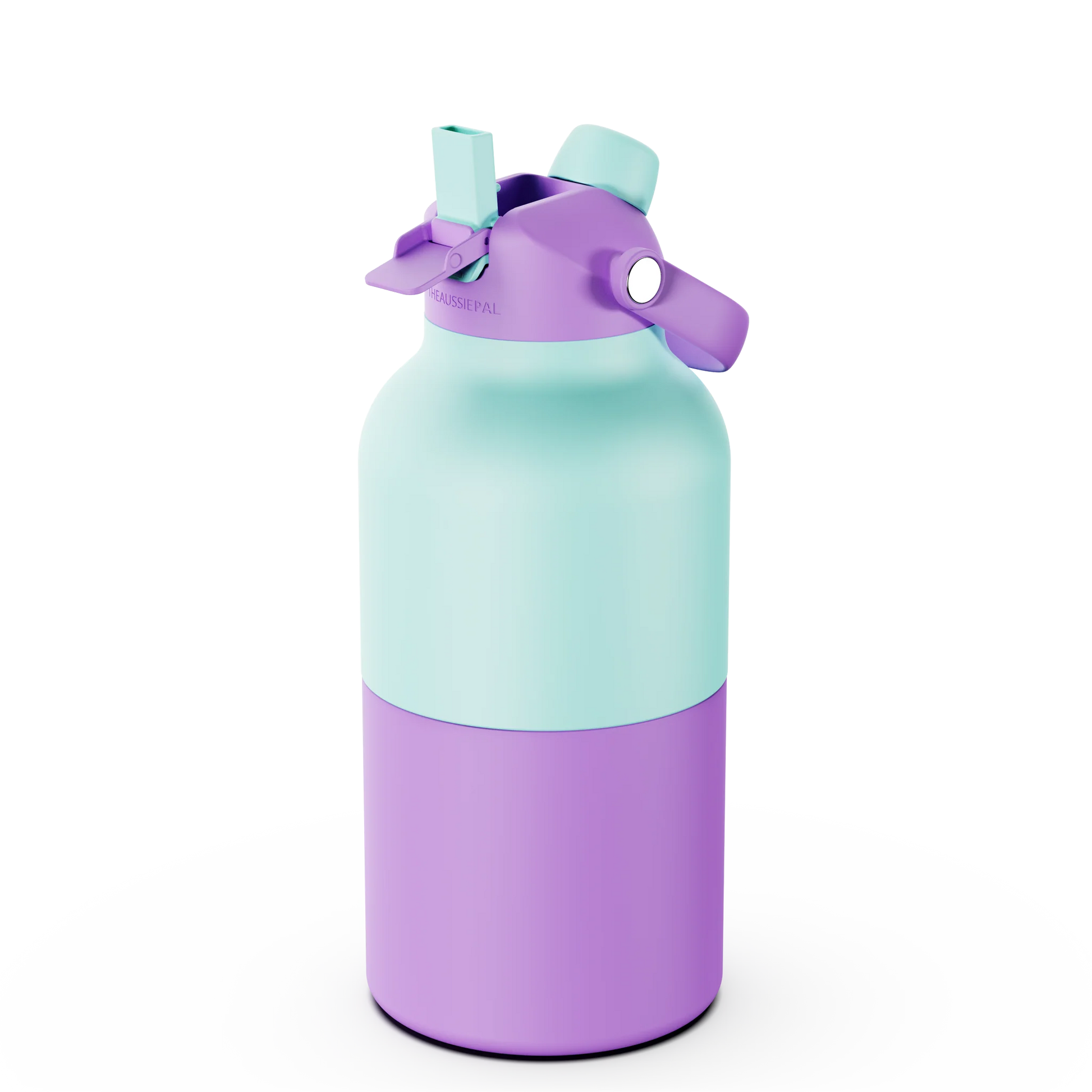 HydroMax – 2L Insulated Water Bottle
