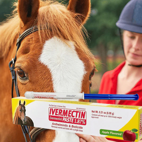 GuardianMectin - Anti-Parasite Horse Paste