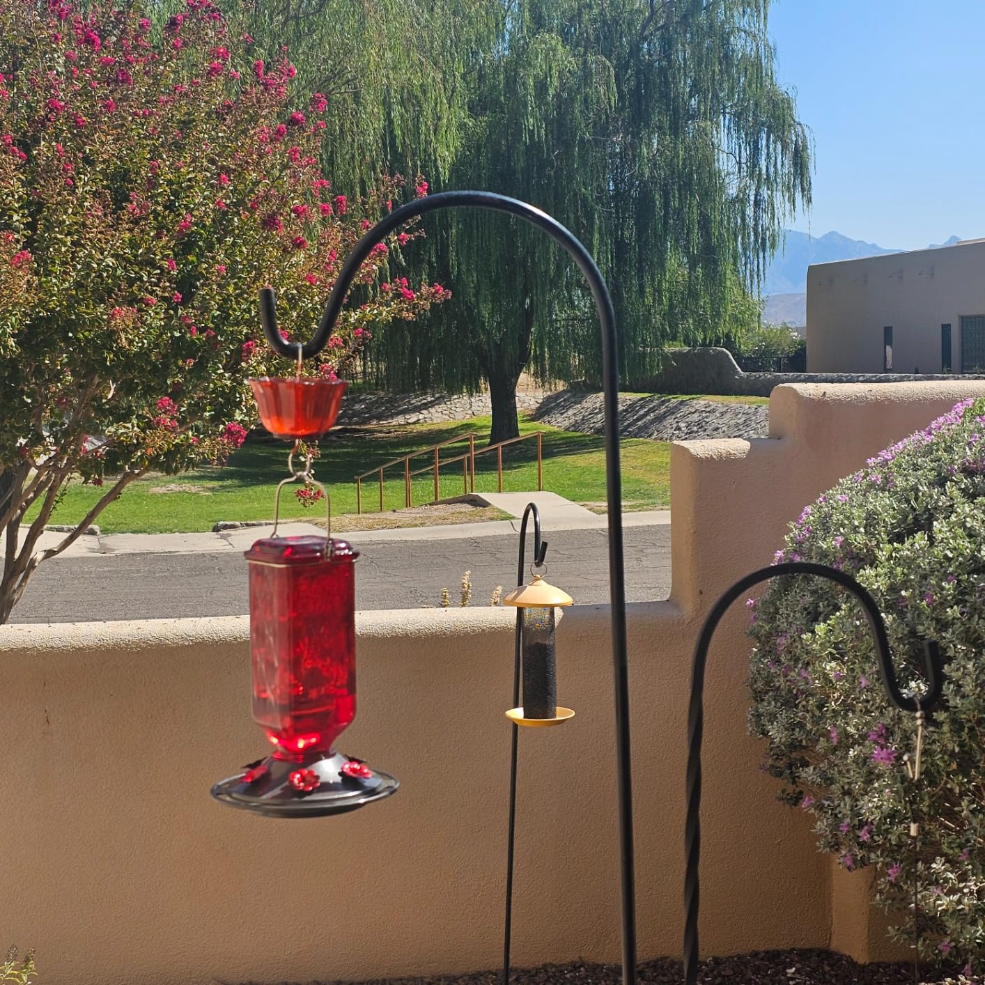 WingWhisper – Hummingbird Decorative Feeder