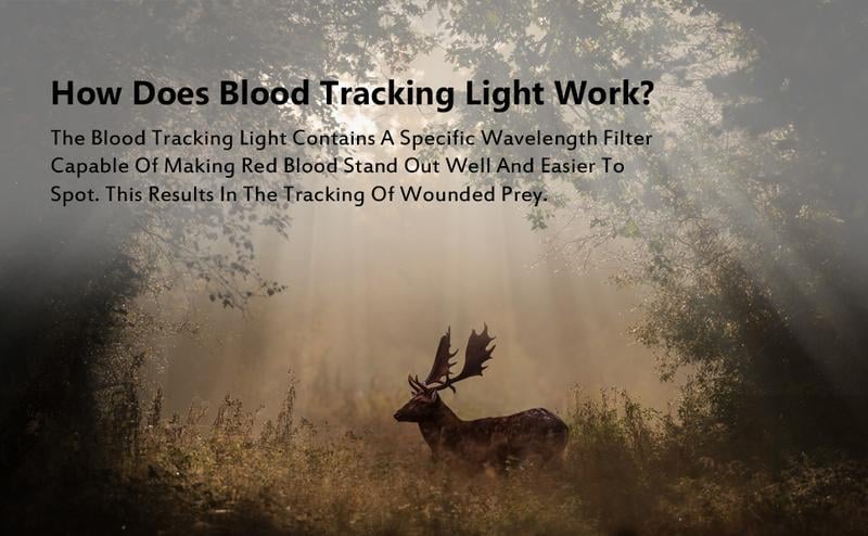 RedTrace - Pro-Grade Blood Tracking Torch