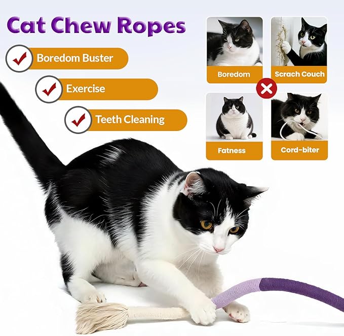 KittyTwist – Durable Cat Rope Toy