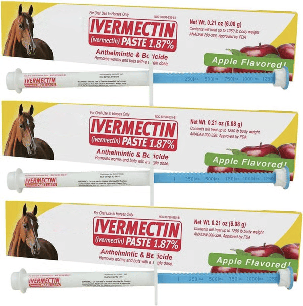 GuardianMectin - Anti-Parasite Horse Paste