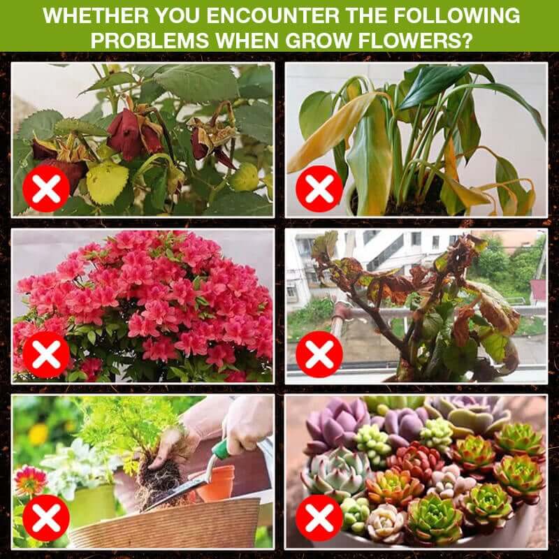FloraFuel – Advanced Plant Growth Supplement