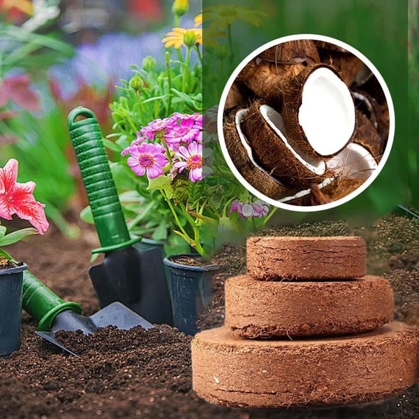 CocoRoot - Premium Organic Coir Bricks