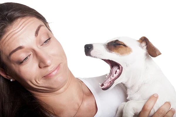 PawFresh – Teeth Cleaning Spray for Pets