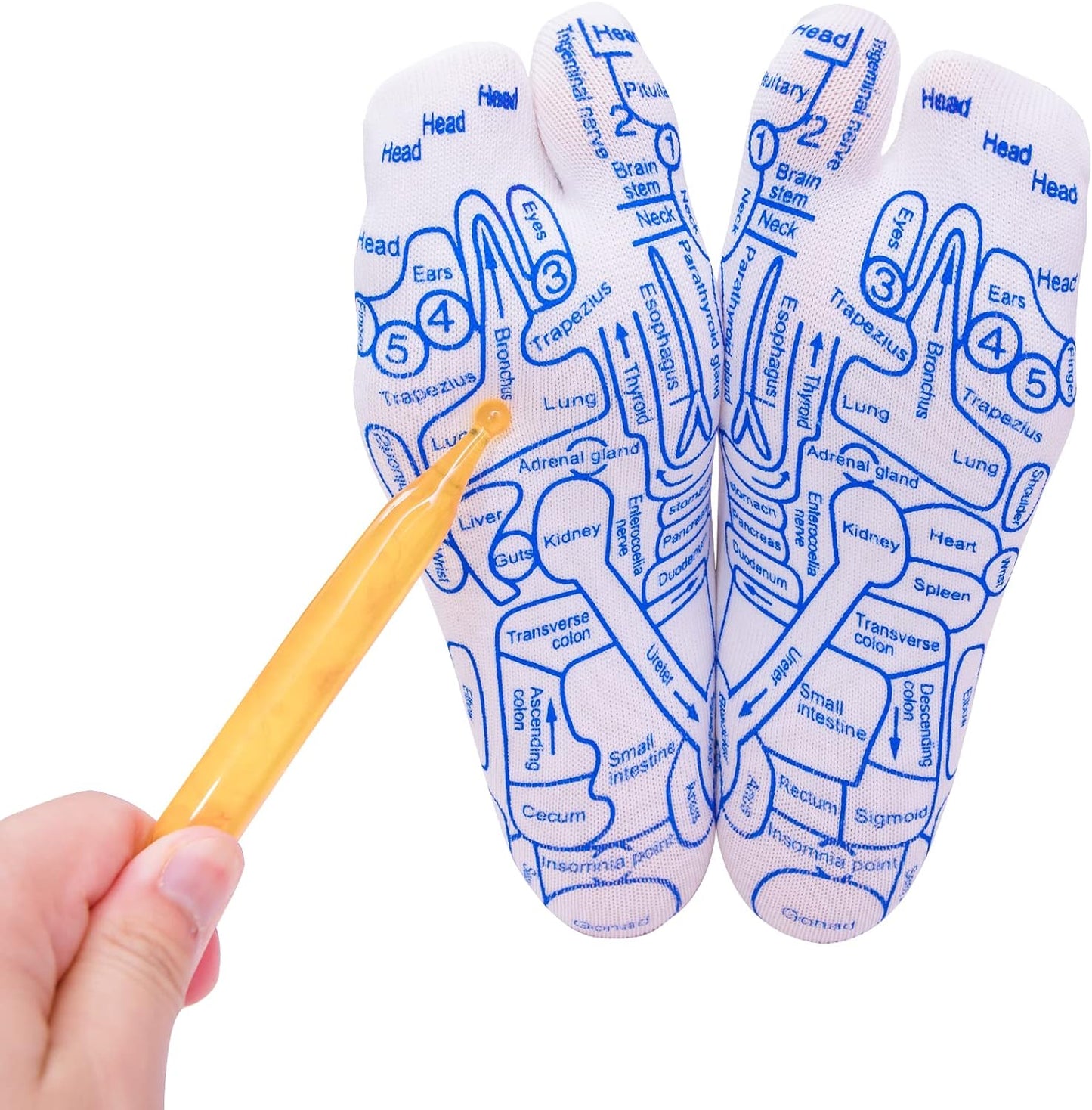SoleHarmony – Reflexology Chart Socks with Massage Tool