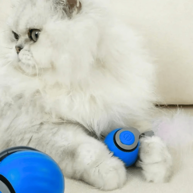 ChaseWhirl – Interactive Pet Ball Toy