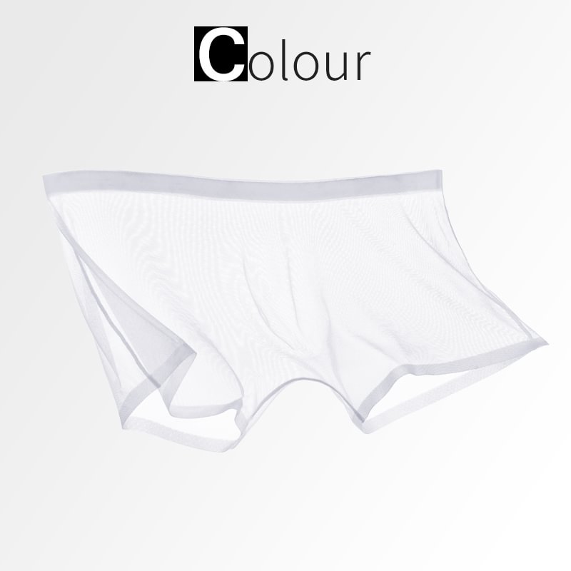 SilkFlex - Lightweight Mesh Boxer Underwear