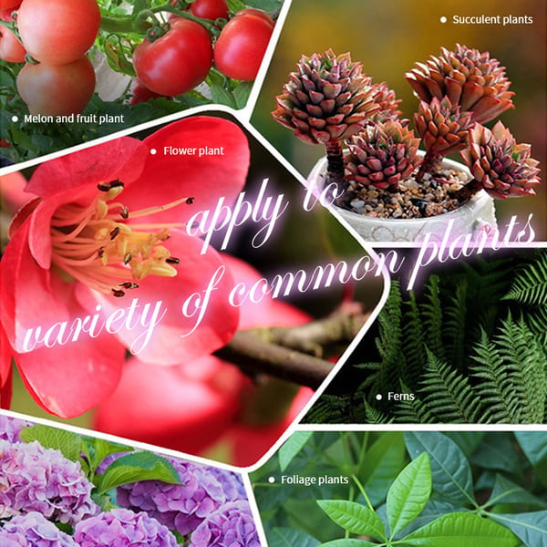 GrowMate – Slow-Release Organic Fertilizer Tablets