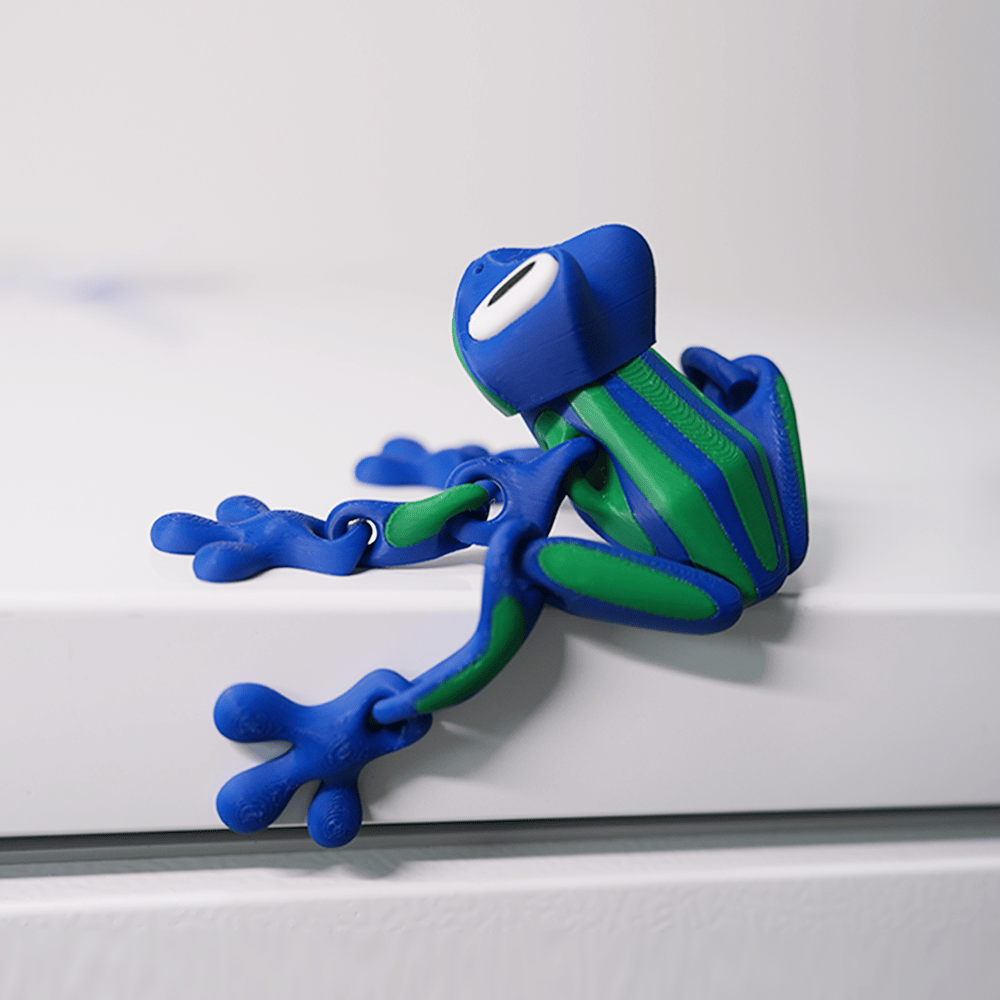 FroggieFun - Eco-Friendly Magnetic Frog