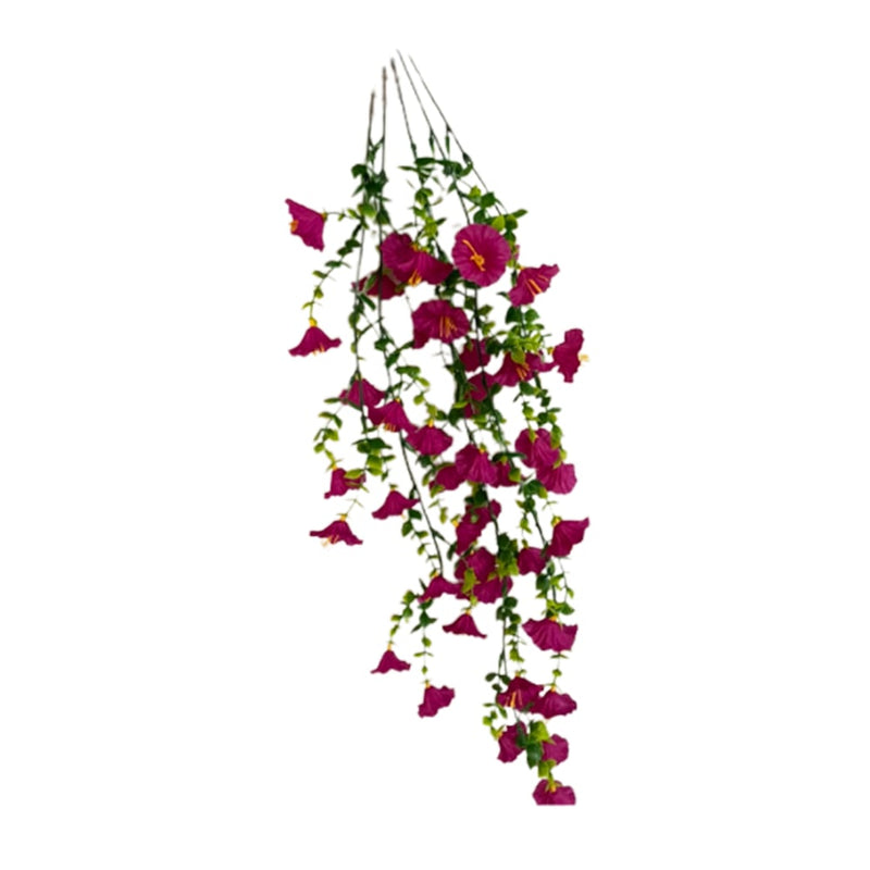 FleurVibe - Year-Round Vibrant Morning Glory Display