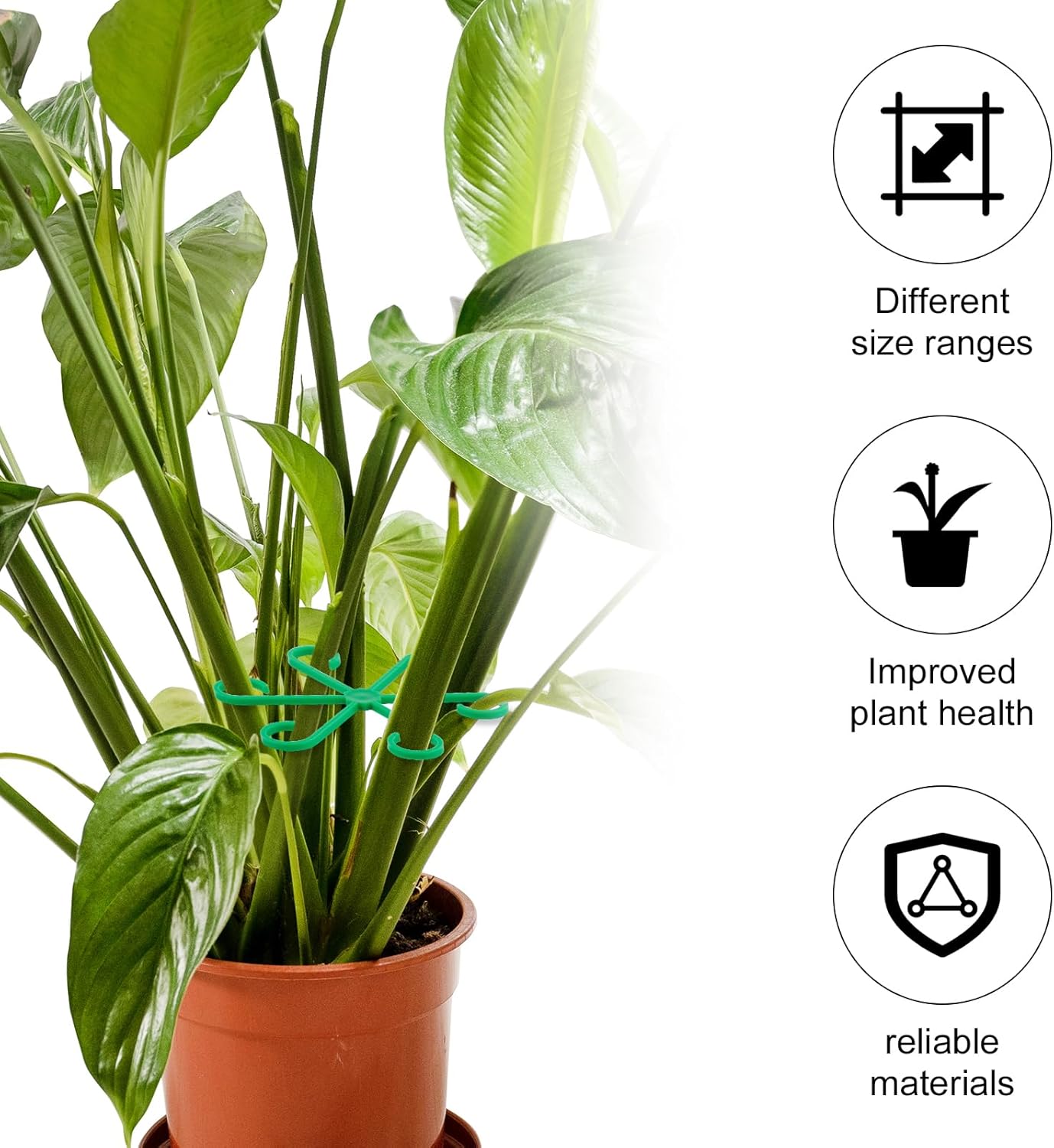 GrowGrip – Adjustable Stem Support Kit for Garden Plants
