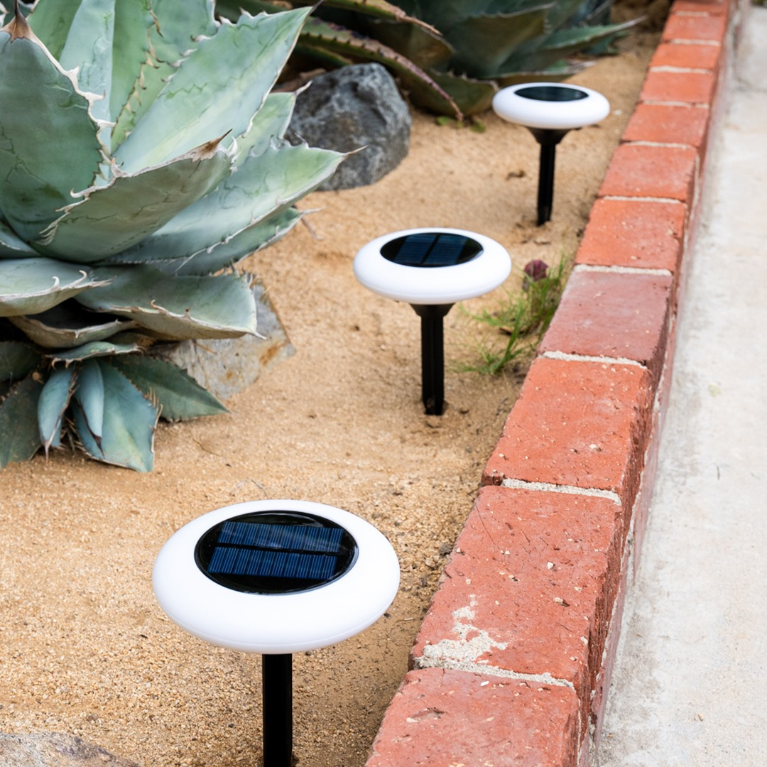 SolarGlow – Vibrant Outdoor Color Lights