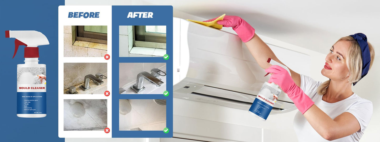 FoamClean - Multi-Use Mildew & Mold Remedy