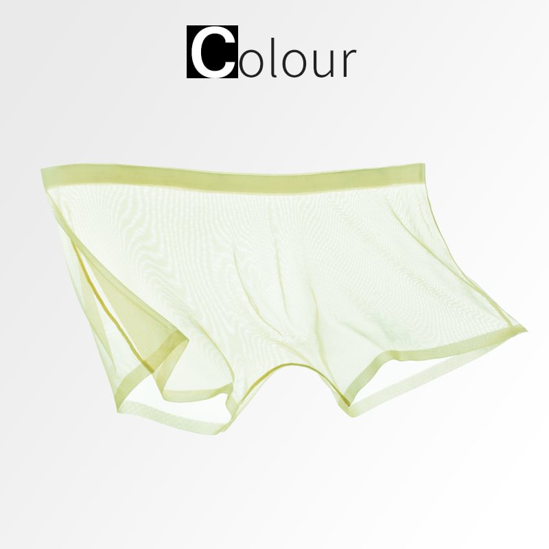 SilkFlex - Lightweight Mesh Boxer Underwear