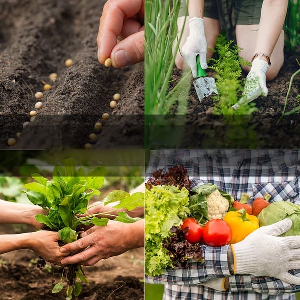 SeedVault - Ultimate Survival Garden Collection