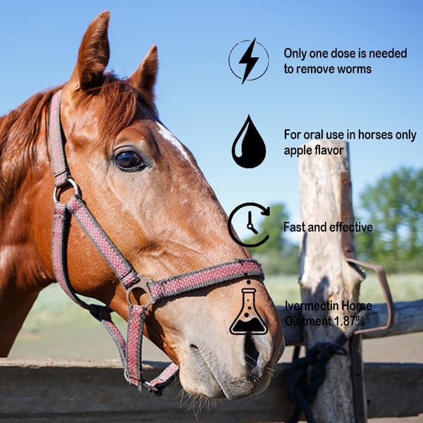 GuardianMectin - Anti-Parasite Horse Paste
