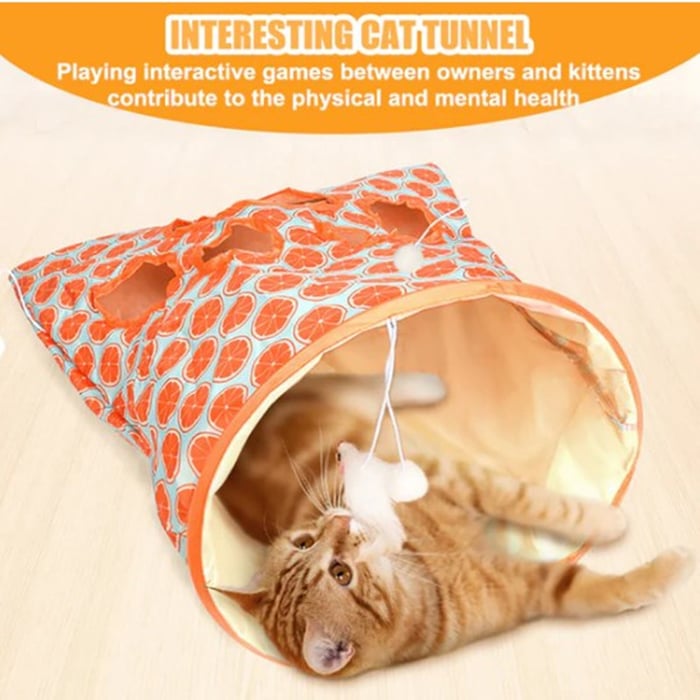 PawVoyage – Expandable Cat Tunnel Bag