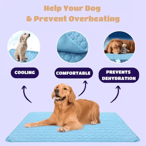FrostTail – Refreshing Pet Cooling Pad